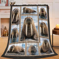 Walrus Blanket, Arctic Animal Throw Gift for Kids Adults 80"X60" by Unknown