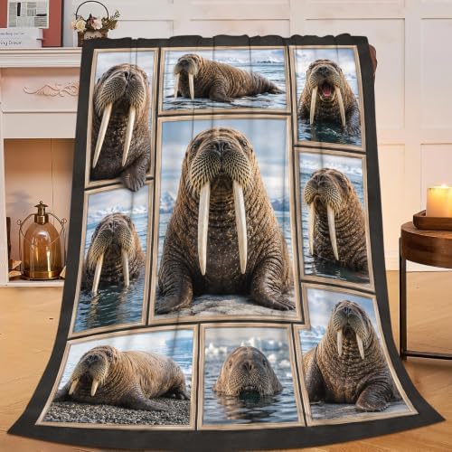 Walrus Blanket, Arctic Animal Throw Gift for Kids Adults 60"X50" by Unknown