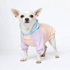 Spark Paws Dog Hoodie – Premium Dog Sweater for Small, Medium, and Large Dogs | Warm Outfits for French Bulldogs, Pitbull, Puppy, Winter Jacket Alternative - Cotton Candy - S