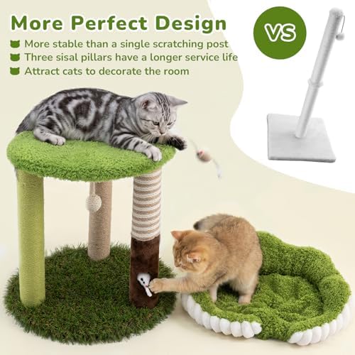 Woochpet Cat Scratching Post with Cat Bed,Cat Scratcher Tree,Small Cat Tree - Image 2