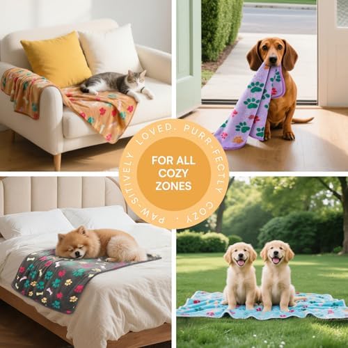 Luciphia 1 Pack 6 Dog Blankets Cat Soft Fluffy Fleece Pet Blanket Warm Cute Print Design Puppy Kitten Doggy Bone Large(41"x31") - Image 3