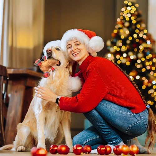 Squeaky Dog Toys, Stuffed Large Dog Toys to Keep Them Busy, Interactive Plush Chew Toys with Crinkle Paper, Tough Pet Animal Toys for Small Medium Large (Red B) - Image 5