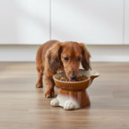 Nihow Elevated Ceramic Dog Bowls: 6.5 Inch Raised Dog Bowl for Food & Water | Food Safe Bowl for Medium/Small Size Dogs - Brown Puppy Bowls for Protecting Pet's Spine(1 PC)