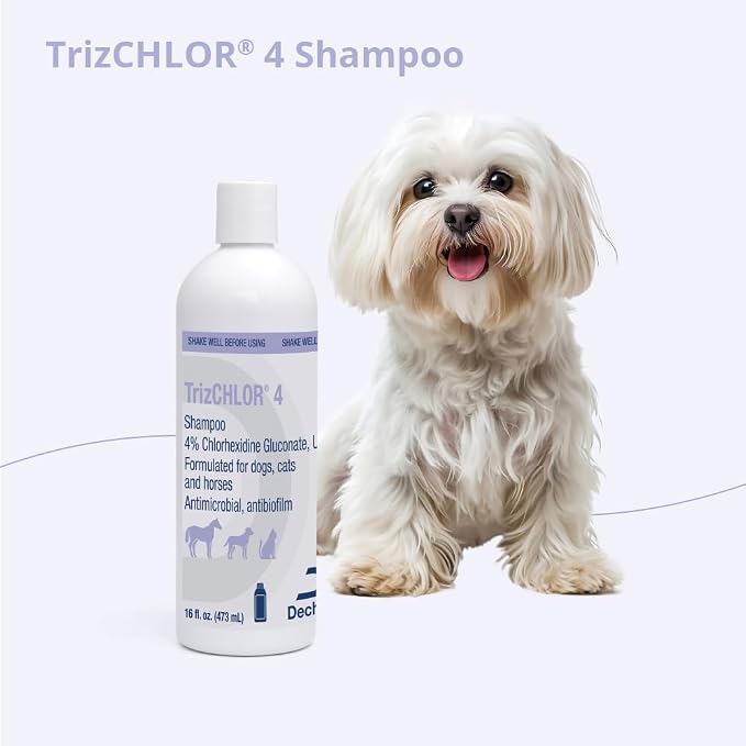 4 Shampoo for Dogs, Cats and Horses, 16 Ounce | Antibiofilm; Packaging May Vary