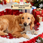 Christmas Dog Toys - Squeaky Plush Stuffed Animals for Puppies & Dogs, Interactive Holiday Pet Toys for Training & Reducing Boredom, Perfect Dog Birthday Gifts for Small, Medium & Large Breeds - Image 4