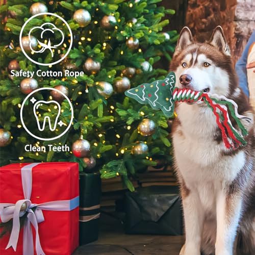 SCENEREAL Christmas Dog Rope Toys, 4pcs Doggy Chew Toys with Stocking for Teething Cleaning, Squeaky Plush Puppy Toy, Interactive Dog Stocking Stuffers, Xmas Gifts for Small Medium Large Dogs - Image 4
