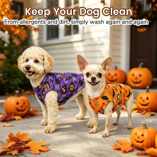 BINGPET 2PCS Dog Halloween Costume, Soft Cotton Puppy Shirt, Bat & Pumpkin - Image 5