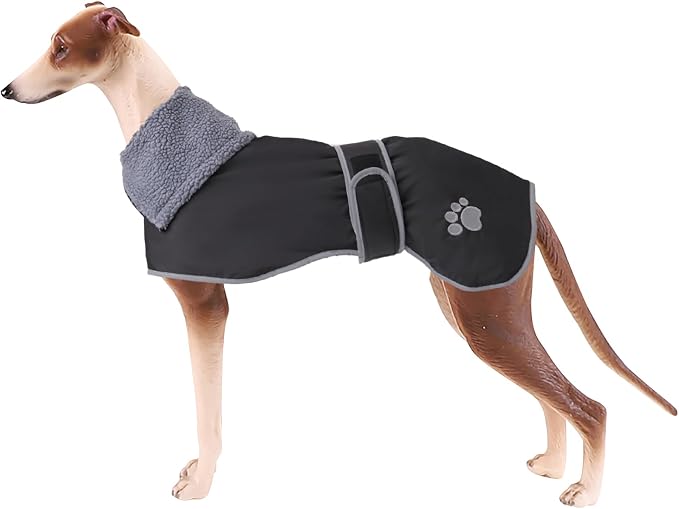 Geyecete Dog Winter Coat Geyecete Greyhound Raincoat Fabric with Lamb Velvet Inside Outdoor Dog Apparel with Adjustable Bands for Medium, Large Dog-Black-XS