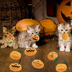 6pcs Halloween Pumpkin Catnip Toy，Hallowen Indoor Pumpkin Shaped Cat Toy Plush Interactive Chew Bite Toys for Cat Kitten Indoor Festive Holiday Cat Lover Gift - Image 4