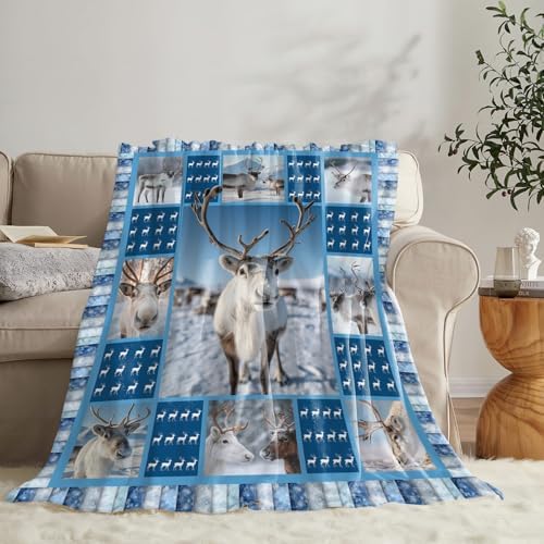 Reindeer Blanket for Girls Women Boys Men Adults Kids Soft Cozy Fleece Deer Moose Throw Blankets Gifts Warm Flannel Plush Lightweight Decor for Couch Bed Sofa 60"X50" - Image 4