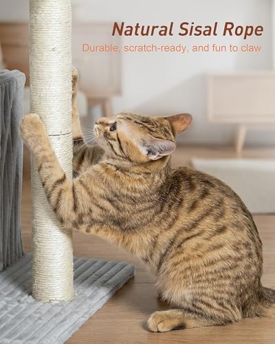 22.8" Cat Tree for Large Cat, 20.9 * 15.7in Large Perch Light Gray - Image 3