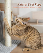 22.8" Cat Tree for Large Cat, 20.9 * 15.7in Large Perch Light Gray - Image 3