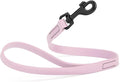 Dogline Biothane Waterproof Dog Leash Strong Coated Nylon Webbing with Black Hardware Odor-Proof Easy to Clean High Performance for Small or Large Dogs Made in USA 2 ft Lead, Pastel Purple