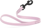 Dogline Biothane Waterproof Dog Leash Strong Coated Nylon Webbing with Black Hardware Odor-Proof Easy to Clean High Performance for Small or Large Dogs Made in USA 2 ft Lead, Pastel Purple