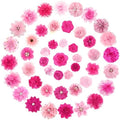Hoteam 50 Pcs Dog Collar Flowers Bows Accessories, Pink, Rose Red by Hoteam