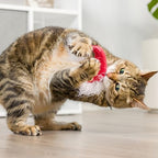 Huxley & Kent Plush Cat Toy - Holiday Interactive Catnip Toy for Cats & Kittens - Soft with Crinkle & Catnip - Fun Indoor Play - Santa Hat & Sweet Thing Candy 2pk - Image 4