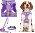 PUPTECK Dog Harness, Collar and Leash Set No Pull for Small Medium Sized by PUPTECK