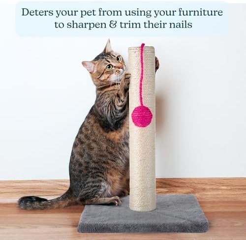 17-Inch Cat Scratching Post - Sisal Rope and Carpet Scratching Pole with Bright Pink Hanging Ball Toy for Adult Cats and Kittens by PETMAKER (Gray) - Image 4