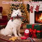 Soulchen 10 Pcs Christmas Dog Toys Plush Squeaky Puppy Toy - Image 7