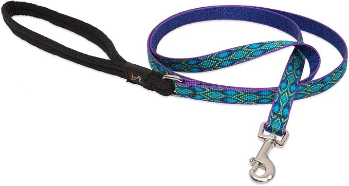 LupinePet Originals 1/2" Rain Song 6-foot Padded Handle Leash for Small Pets