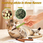 Cat Toys 12PCS Mix Catnip Chew Rope Silvervine Stick for Indoor Cat - Image 6