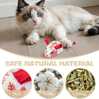 Christmas Catnip Mouse Toys for Cats,5 Pack Plush Mice Toys for Indoor Cats - Image 4