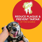 Petrodex Dog Dental Care Kit, Toothbrush & Toothpaste, Poultry | Complete oral care kit: toothpaste + toothbrush; reduces plaque & tartar; fights bad breath; poultry flavor, 2.5oz