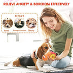 lilfrd Dog Puzzle Enrichment Toy, Squeaky Crinkle Plush Snail Pup Toys - Image 5