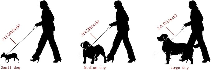 Heavy Duty Stainless Steel Dog Chain Leash, 3FT/4FT/5FT Cuban Link Metal Dog Leashes, for Large Medium Small Dogs, with Genuine Leather Handle (Silver, 3FT)