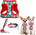 PUPTECK Christmas Dog Harness, Collar and Leash Set No Pull for Small Sized by PUPTECK