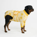 Spark Paws Dog Surgery Recovery Suit – Dog Recovery Suit After Surgery, Anti-Lick Dog Onesie, Abdominal Wound Protector, Soft Cone Alternative for Spay Neuter Male Female Pet Recovery- Sunshine - 4XL
