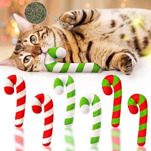 MALLMALL6 6Pcs Christmas Candy Cane Catnip Toys Gift for Indoor Chew Bite Kick Catmint Pet Supplies, Cute Interactive Toy for Cat Lover Xmas Presents (Tricolor) by MALLMALL6