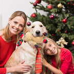 Christmas Dog Toys, Squeaky Reindeer Plush for Dogs - Image 5