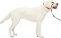 PetSafe Gentle Leader No Pull Dog Headcollar, Raspberry Pink, Large | Veterinary Behaviorist-Designed No-Pull Headcollar Redirects Pulling Instinct, Padded Neoprene Nose Loop, Quick-Snap Fit