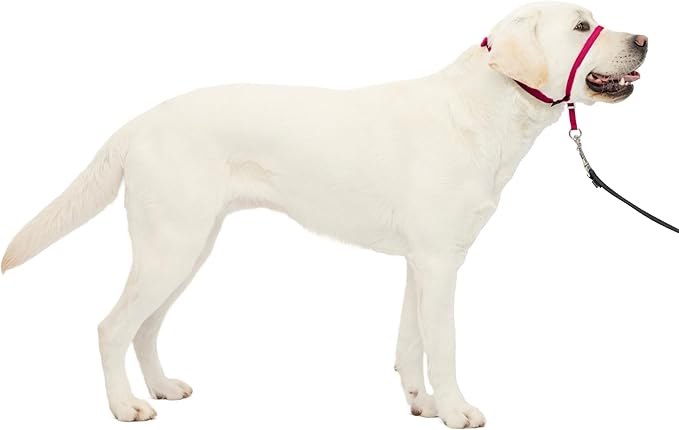 PetSafe Gentle Leader No Pull Dog Headcollar, Raspberry Pink, Large | Veterinary Behaviorist-Designed No-Pull Headcollar Redirects Pulling Instinct, Padded Neoprene Nose Loop, Quick-Snap Fit
