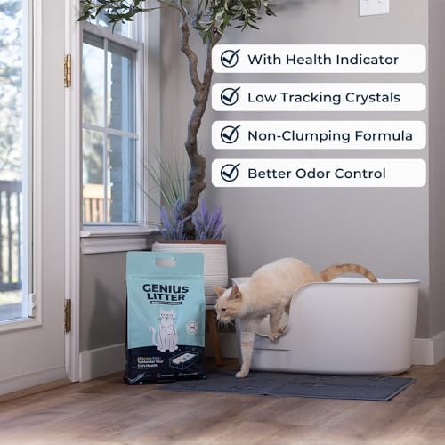 Genius Litter Health Monitoring Cat Litter, Featured on Shark Tank, Lightweight Crystal Silica Gel, Non Clumping, Dust Free, Low Tracking, Odor Control for Indoor Cats and Kittens, 2 Bag (12lb)