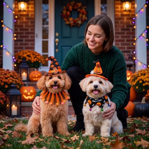 Talltalk 6 Pcs Halloween Pet Costume for Cats and Small Dogs - Image 6