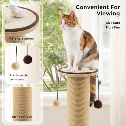 ZOMISIA 35'' Tall Cat Scratching Post for Indoor Cats Adults, Brown - Image 2
