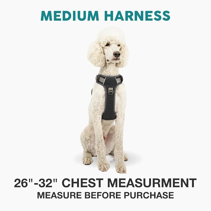 Embark Adventure Dog Harness, Reflective Trim No Pull Dog Harness Medium Sized - Military Grade Nylon, Front Clip with Gel Lined Handle. Soft & Padded Puppy Harnesses for Any Breed