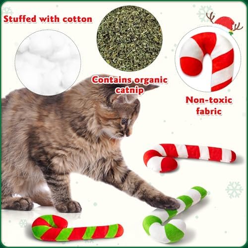 MALLMALL6 6Pcs Christmas Candy Cane Catnip Toys Gift for Indoor Chew Bite Kick Catmint Pet Supplies, Cute Interactive Toy for Cat Lover Xmas Presents (Tricolor) - Image 3