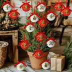 Cactus Christmas Decor - Cactus Ornament Tree Decorations Hanging Balls, Christmas Cactus Decorations Ball 2.36 Inch for Xmas Tree Party Home Holiday，Xmas Gifts Set of 16Pcs - Image 3