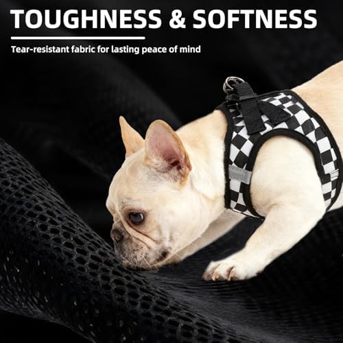 PUPTECK Dog Harness, Collar and Leash Set No Pull for Small Medium Sized - Image 6