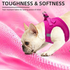 PUPTECK Dog Harness, Collar and Leash Set No Pull for Small Medium Sized - Image 6