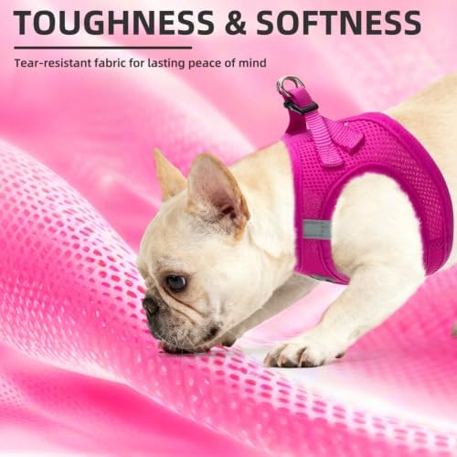 PUPTECK Dog Harness, Collar and Leash Set No Pull for Small Medium Sized - Image 6
