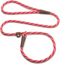Mendota Pet Slip Leash - Dog Lead and Collar Combo - Made in The USA - Taffy, 3/8 in x 4 ft - for Small/Medium Breeds