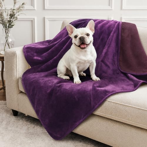 LOOBANI Waterproof Dog Blanket for Small Dogs, Pet Blanket 30" x 40" Purple by LOOBANI