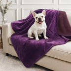LOOBANI Waterproof Dog Blanket for Small Dogs, Pet Blanket 30" x 40" Purple by LOOBANI
