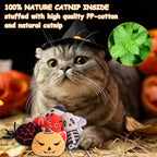 FOIMAS Halloween Catnip Toys,Pumpkin Ghost Catnip Toy Chew Bite Toy for Cat Interactive, Pack of 6 - Image 2