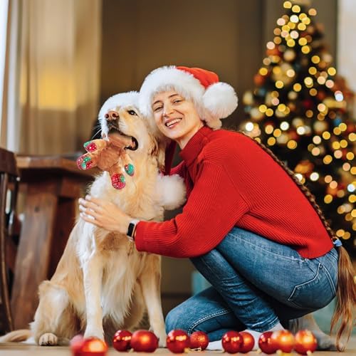 Christmas Squeaky Dog Toys, Stuffed Large Dog Toys to Keep Them Busy, Interactive Plush Chew Toys with Crinkle Paper, Tough Pet Animal Toys for Small Medium Large (Red D) - Image 5