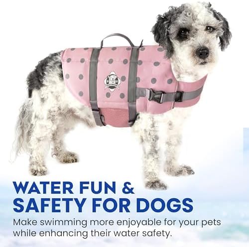Dog Life Jacket — Premium Swim Vest with SafeChin Anti-Choke Collar | PAWS Aboard Pink | RapidLift Rescue Handle, D-Ring, Reflective Trim | Boating, Kayaking, Pool | Small (15–25 lbs)